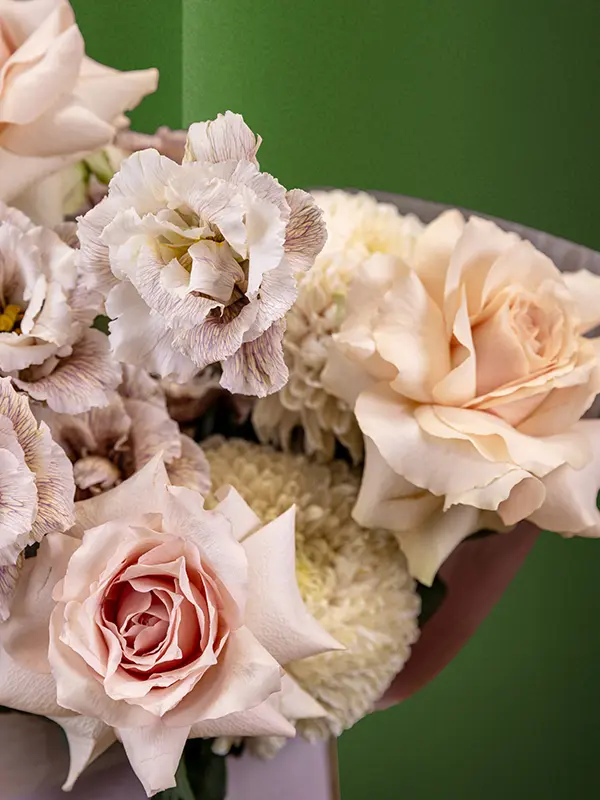 PEACHES AND CREAM Bliss UAE